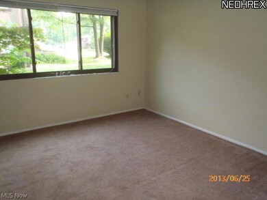 26657 Lake of the Falls Blvd unit 26657, Olmsted Falls, OH 44138 - photo 5