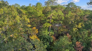 168 Delea Ln, Brookeland, TX 75931 - photo 5