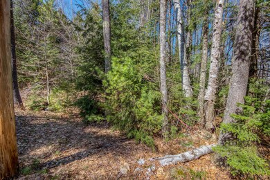 5 Fernald's Hill Way, Stow, ME 04037 - photo 6