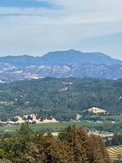 4901 Stewarts Point Skaggs Springs Rd, Geyserville, CA 95441 - photo 3