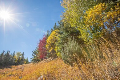 Lot 29 Two Moons, Big Sky, MT 59716 - photo 7