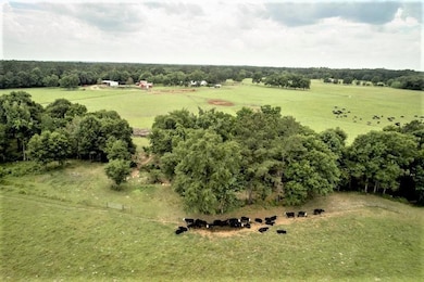 589 Dorsett Rd, Lufkin, TX 75901 - photo 6