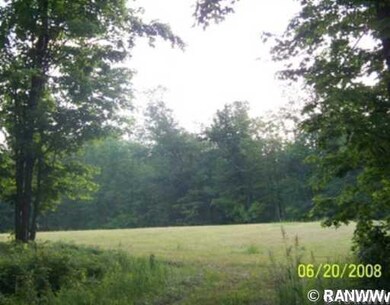 0 Cedar Swamp Rd unit 827193, Strickland, WI 54895 - photo 2