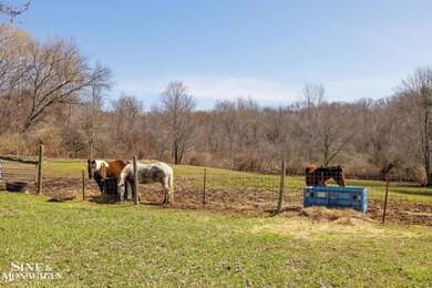 Front & rear fenced paddocks