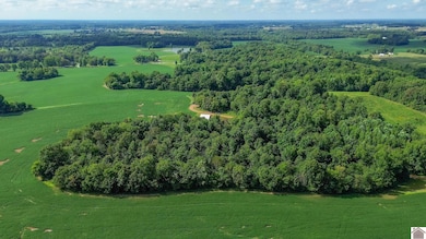 2500 Biggs Rd, Kevil, KY 42053 - photo 3