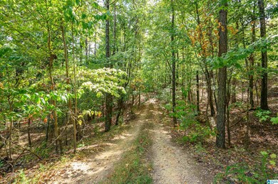 00 Deer Run Rd, Alabaster, AL 35007 - photo 2