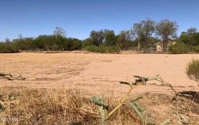 4320 E Stallion Dr unit 41, Eloy, AZ 85131 - photo 6