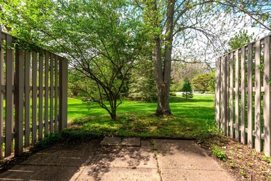 MLS3_View_from_Patio