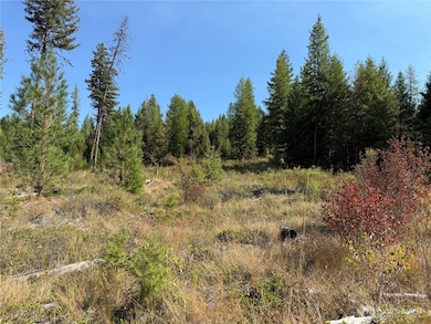 0 St Peter's Creek Rd unit NWM2456624, Malo, WA 99150 - photo 5