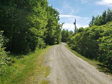 1601 Duck Pond Rd, Barton, VT 05822 - photo 6