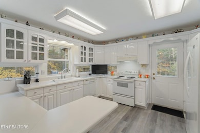 668 Raccoon Valley Rd, Maynardville, TN 37807 - photo 5