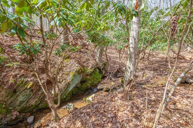 TBDLOT9 N Sunset Ln, Bland, VA 24315 - photo 5