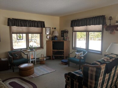 Cozy living room...Pella windows and hot water bas