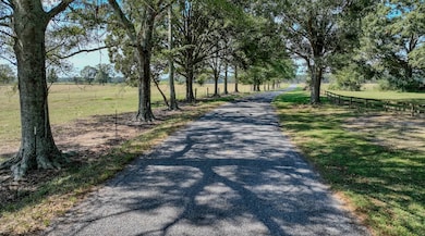 44 Pine Lane Ranch Rd, Laurel, MS 39443 - photo 3