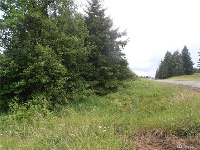 0 U S 12, Napavine, WA 98532 - photo 4