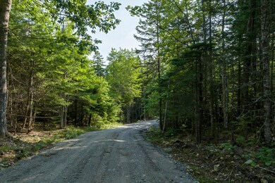10-000 Patty Lot Road,-DTP