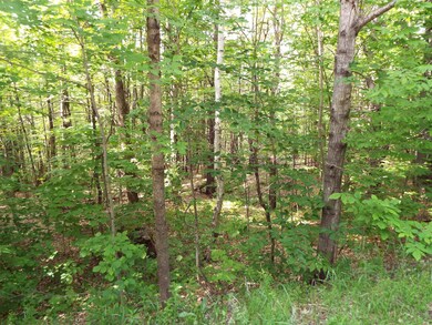 0 Safford Rd unit 4912951, Hartford, VT 05059 - photo 2