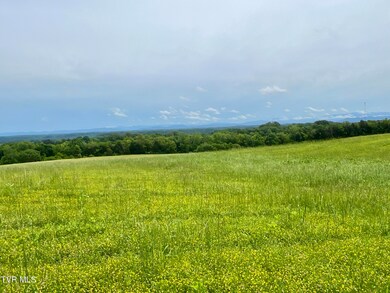 _Pic2 (60)