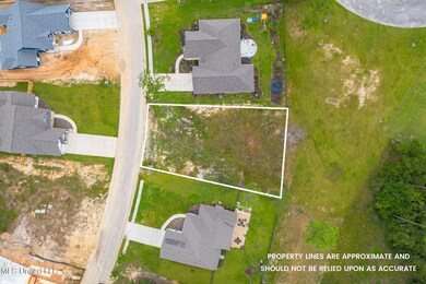 Lot 98 S Founders Way, Hattiesburg, MS 39401 - photo 3