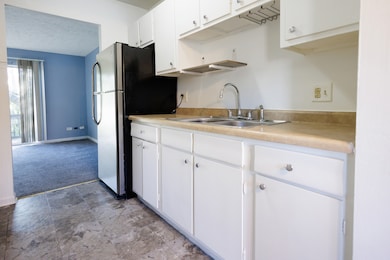 1119 S Curtis Ave unit F62, Kankakee, IL 60901 - photo 5