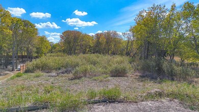 View of local wilderness