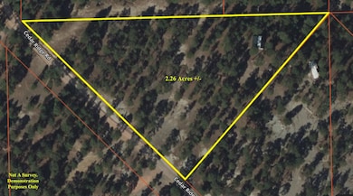 180 Cedar Ridge Rd, Moorcroft, WY 82721 - photo 5