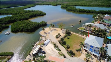 24581 Redfish St, Bonita Springs, FL 34134 - photo 5