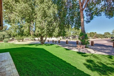 Front Home Grass Area