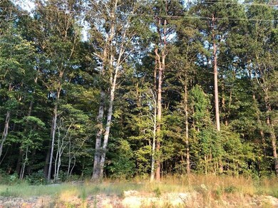 0 Richey Rd unit 949257, Denton, NC 27239 - photo 2