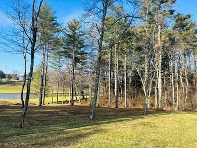 TBD Manor House Dr, Laurel Fork, VA 24352 - photo 6