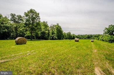 20659 Furr Rd, Round Hill, VA 20141 - photo 7