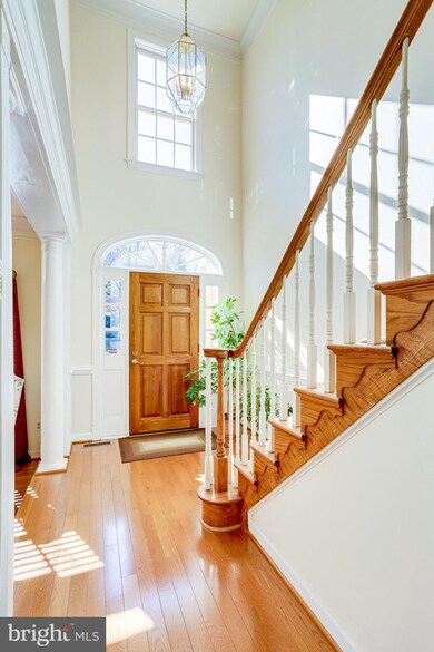 20555 Shadow Woods Ct, Sterling, VA 20165 - photo 4