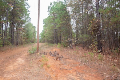 TBD County Road 169d, Kilgore, TX 75662 - photo 3