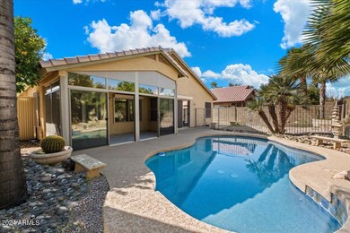Resort style backyard