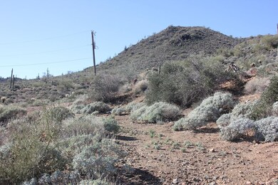 property on site looking south to power