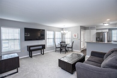 Chandlers Lane Condominiums unit 102, Olmsted Falls, OH 44138 - photo 4