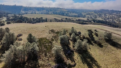 11151 Ridge Rd, Sutter Creek, CA 95685 - photo 3