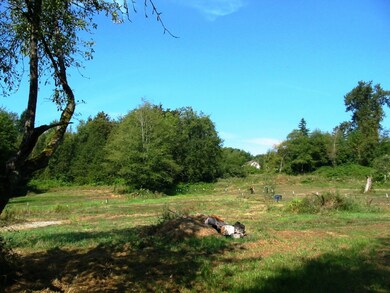 9317 Stein Rd, Custer, WA 98240 - photo 6