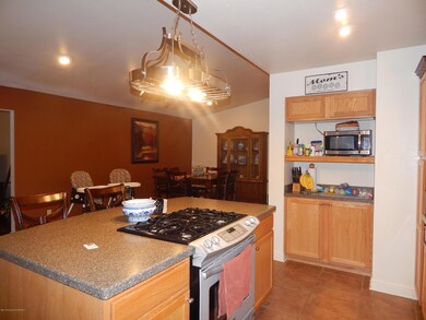 6009 Pryor Ln, Farmington, NM 87402 - photo 5
