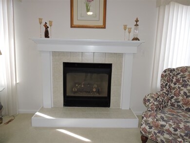 Easy to use vented fireplace takes the chill of co