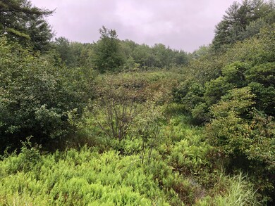 152 Logging Road