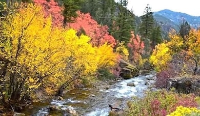 Financing Miningclaim Ownership, Enterprise, UT 84725 - photo 2