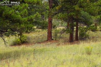 0 W Highway 24 Hwy unit 3329000, Lake George, CO 80827 - photo 5