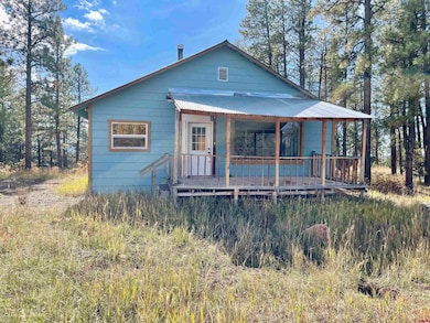 307 Deer Trail Rd, Durango, CO 81303 - photo 3