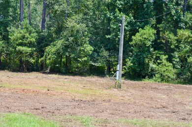 Recently cleared lot / power pole in place