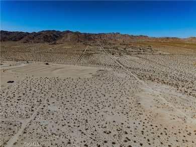 1142 Fran Lou Ln, Joshua Tree, CA 92252 - photo 7