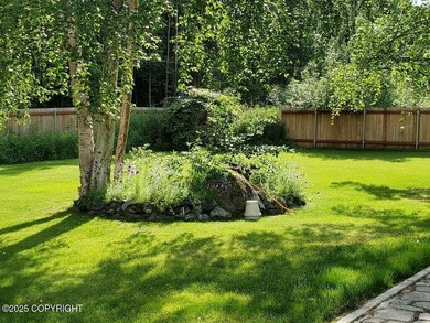 Back Yard 04