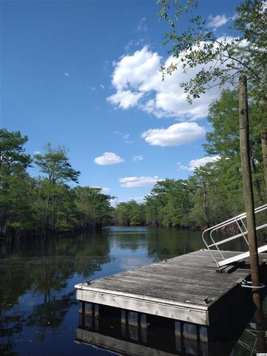 856 Tilly Lake Rd unit Lot 45, Conway, SC 29526 - photo 5