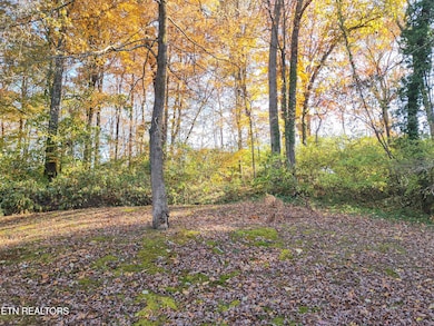 616 Lewallen Ct SE, Knoxville, TN 37914 - photo 3