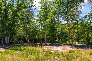 0 White Point Rd unit 113293, Kinsale, VA 22488 - photo 6